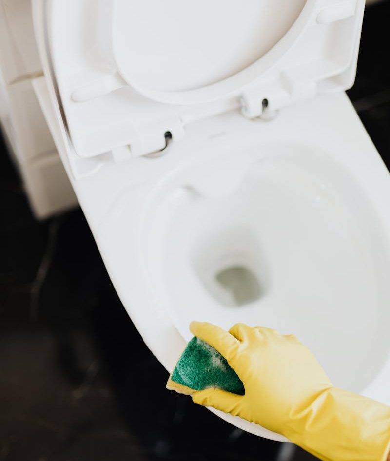 Sredstva za čišćenje sanitarija - važno je obratiti pažnju na sastojke